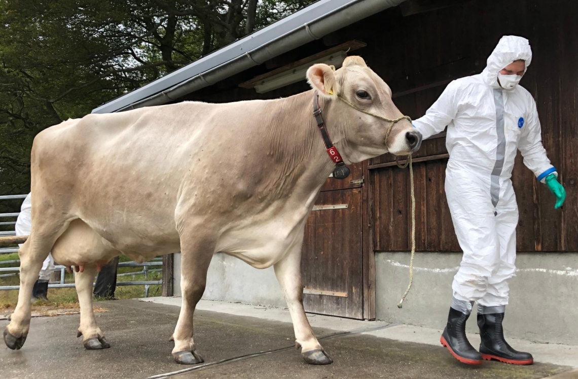 MKS Übung Tierseuchengruppe